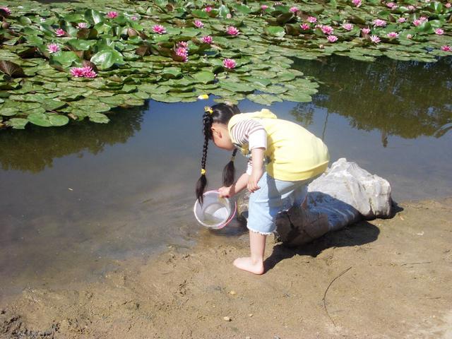夏天如何陪宝宝安全玩水 安全宝宝之玩水要小心