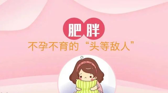 备孕的注意事项_女性备孕需要注意什么_备孕女性注意事项