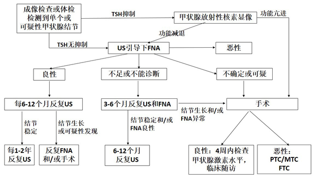 促甲状腺激素偏高怎么办_备孕促甲状腺激素_备孕促甲状腺激素偏高影响