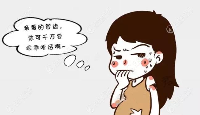 备孕可以拔智齿吗_备孕期间智齿疼怎么办_智齿 备孕