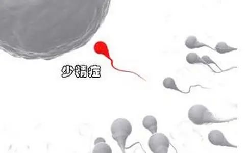 备孕期间突然子宫疼_子宫后位备孕日记_子宫后位备孕日记