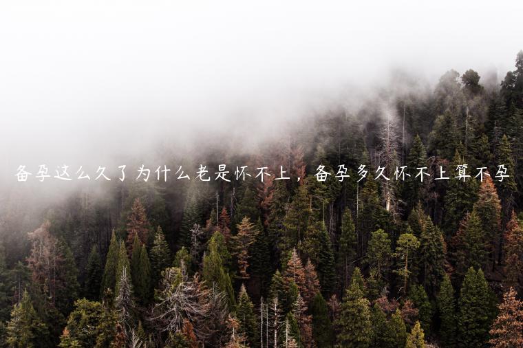 备孕这么久了为什么老是怀不上正常情况下备孕