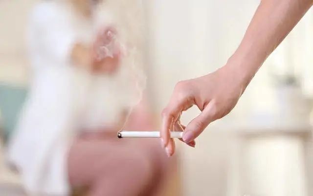 备孕怎么调理身体_中药调理身体备孕_备孕吃什么中药调理