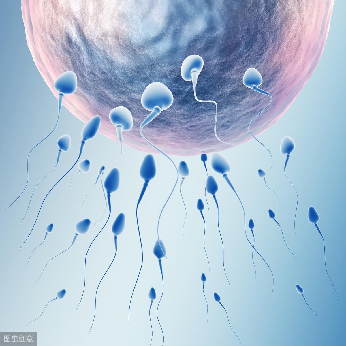男人备孕吃维生素e_备孕可以吃维生素e_备孕吃什么维生素好