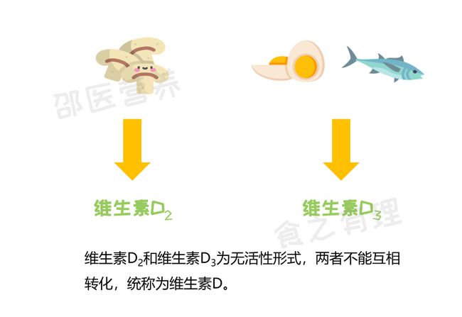 备孕吃什么维生素好_备孕吃哪种维生素e_备孕吃哪个牌子维生素e
