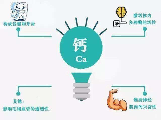 备孕吃什么维生素好_备孕吃哪种维生素e_备孕吃哪个牌子维生素e