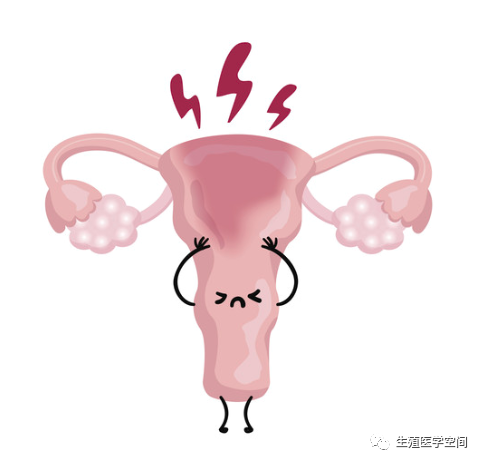 备孕能吃海鲜吗_吃酵素苜蓿多久能备孕_备孕吃胎盘好处