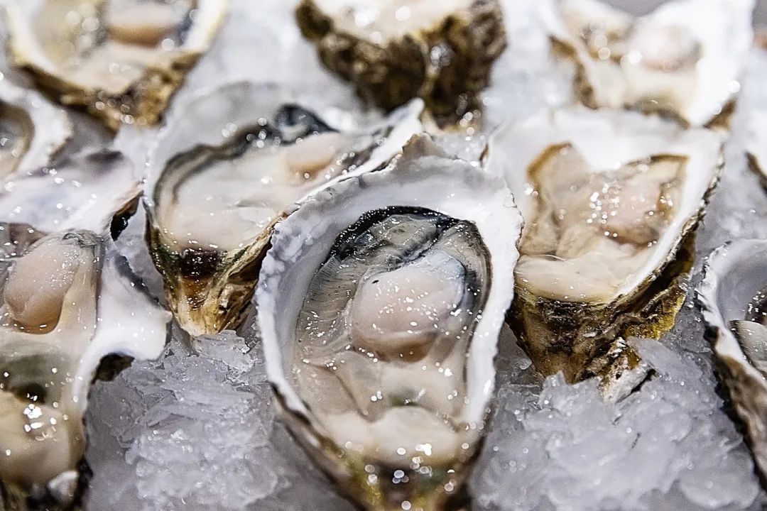 备孕能吃海鲜吗_备孕可以吃安宫黄体酮_备孕吃益生碱一个月能怀男孩吗