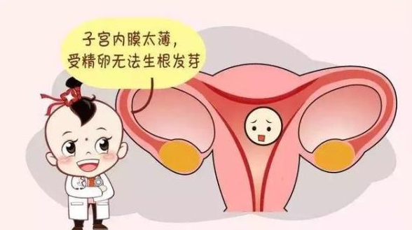 子宫内膜会变薄怎么办？备孕2年没成功