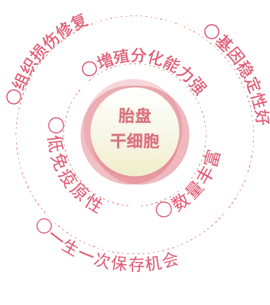胎盘素精华的作用与作用有哪些？胎盘美容作用