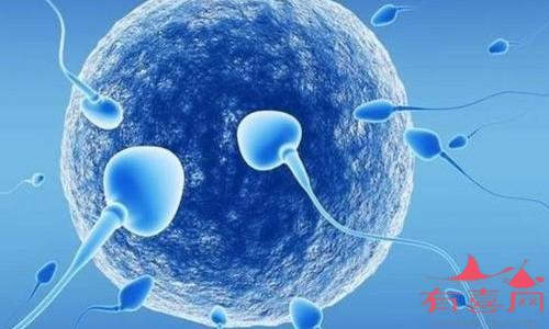 备孕要检查哪几项检查_备孕 优生优育检查 什么时间_备孕吃滋肾育胎丸