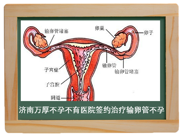 宫外孕后再次备孕知识_宫外孕后怎么备孕_宫外孕备孕吧