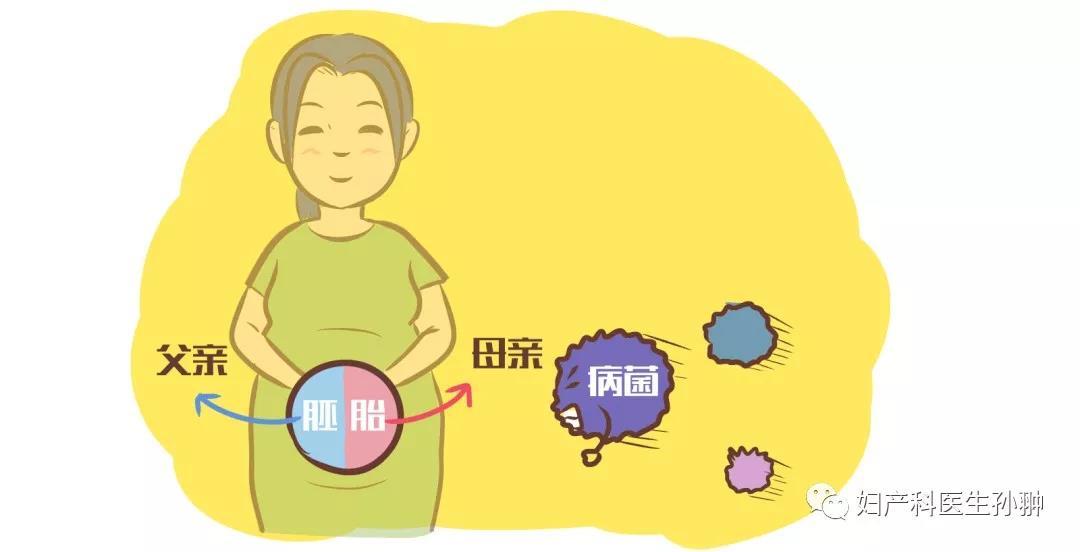 孕期检查项目有哪些？备孕的你千万不要忘记