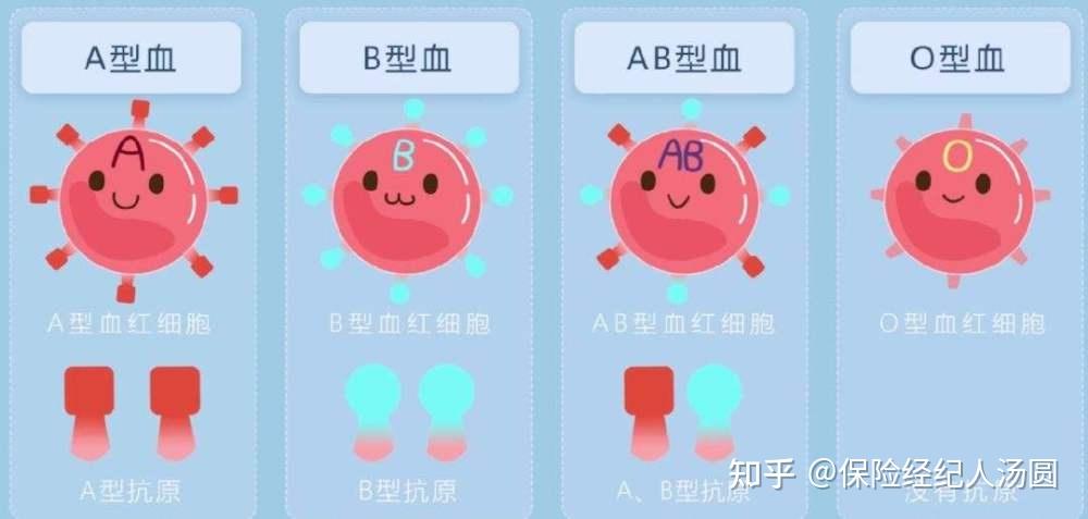 abo溶血需要检查几次_备孕需要检查溶血吗_备孕需要检查abo溶血吗