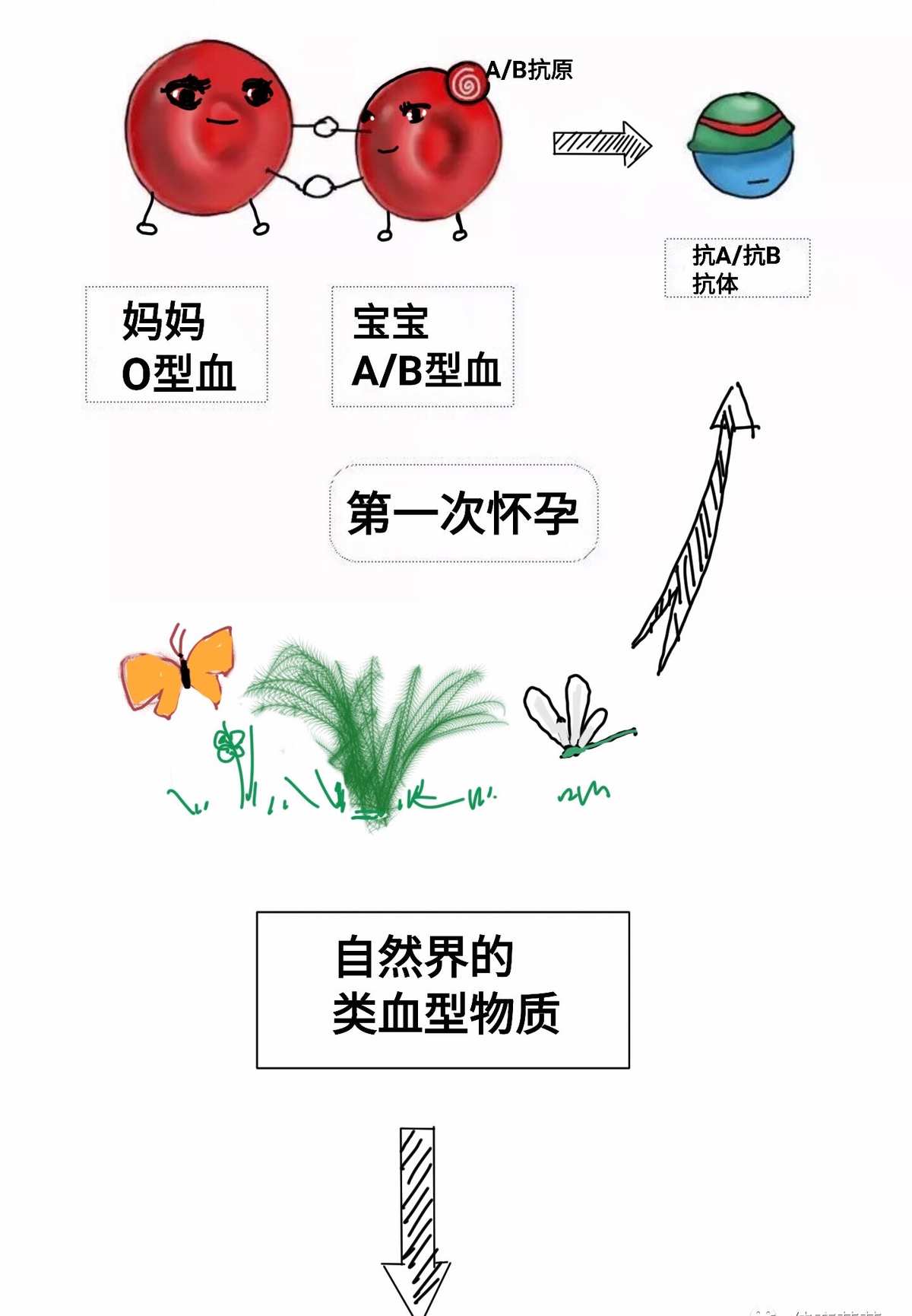 准备备孕需要做的检查_备孕需要检查abo溶血吗_abo溶血检查需要父亲的血吗
