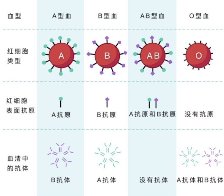 孕妈妈产科检查是O型血，你还好吗？