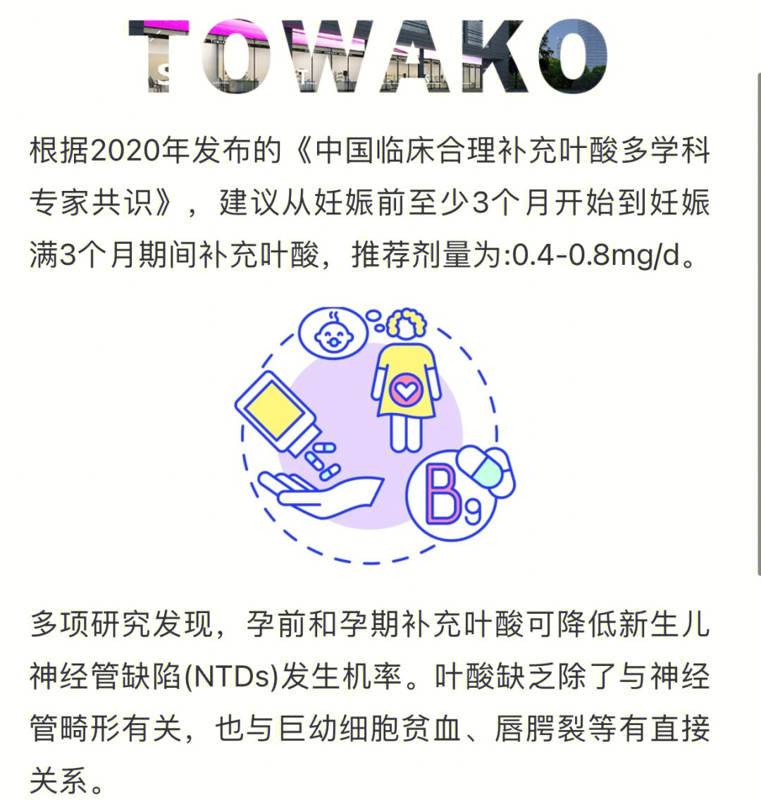 备孕吃叶酸怀双胞胎_备孕吃叶酸有副作用吗_备孕老公要吃叶酸吗