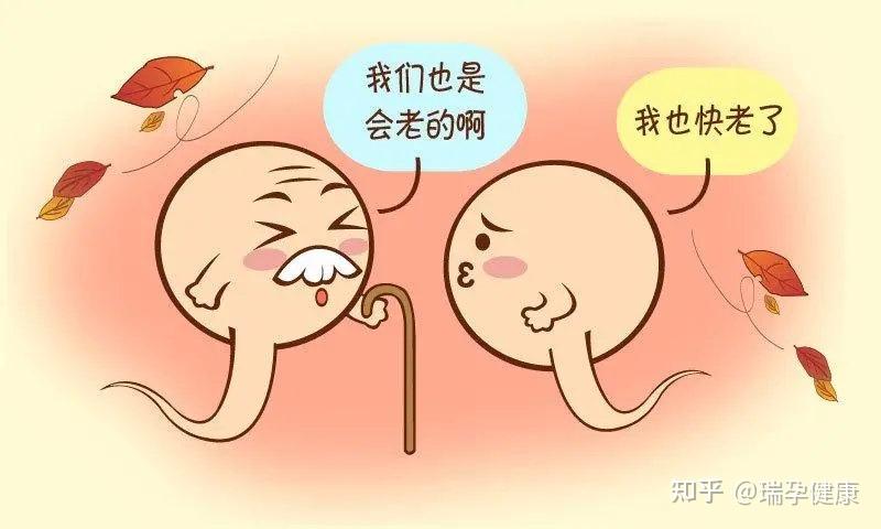 超高龄备孕论坛_高龄爸爸备孕_高龄备孕论坛
