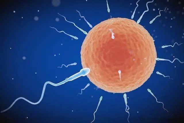 男性高龄该如何备孕呢？高龄爸爸该怎么备孕？