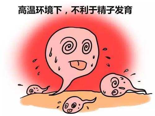 备孕为什么要戒酒_男人备孕戒酒多长时间_男人备孕吃什么好