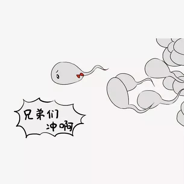备孕几天同房一次_备孕的最佳同房姿势_备孕同房姿势图
