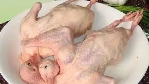 孕妇可不可以吃鸽子肉