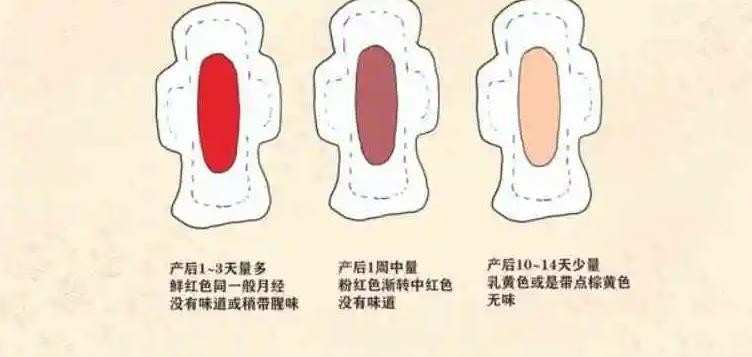 简述产褥期恶露颜色的变化过程、特点