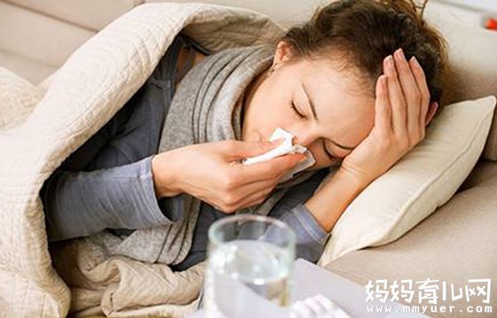 流感再次来袭 弄清h7n9症状与感冒的区别是当务之急