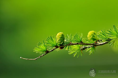 产褥感染最常见的是什么症状