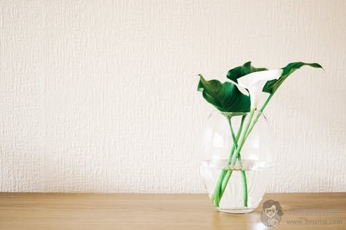 产后忧郁症的症状是什么？