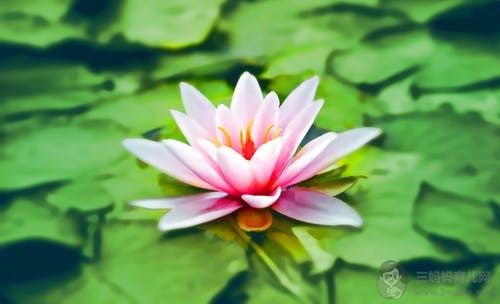 产妇坐月子关节痛怎么办