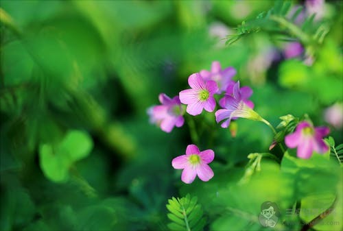 产褥期感染怎么办？