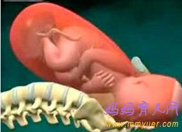 图文直播妇人生孩子的全过程