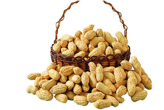 这四种催奶的食物最有效 催奶、下奶全靠它!