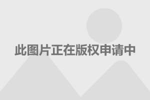 怀孕第5周胎儿真实图