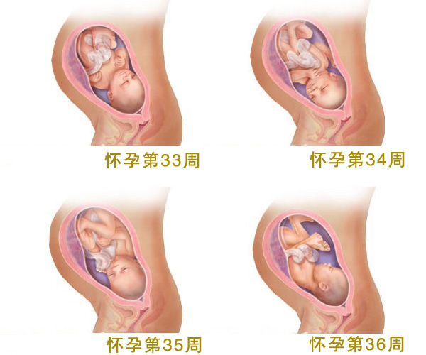 孕妇13周nt值多少正常