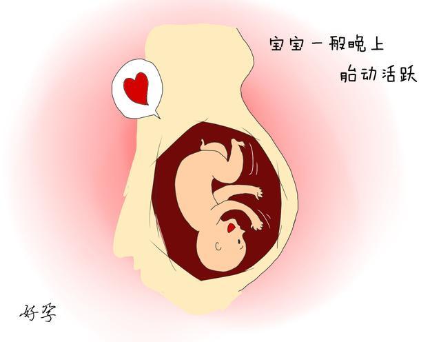 20周胎动时有时无正常吗
