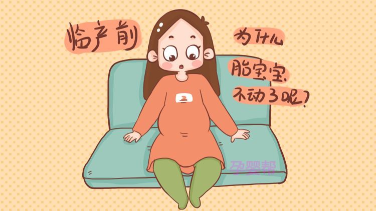 孕22周胎动在毛毛那里