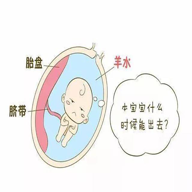 24周羊水深度正常范围