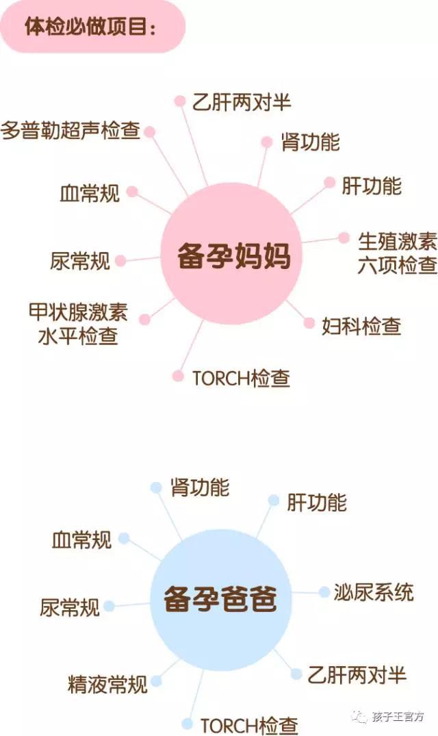 25周四维彩超正常数据
