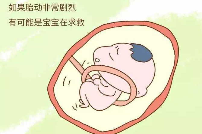 孕31周胎动频繁幅度大
