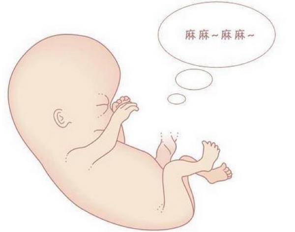 34周胎儿5斤到生有几斤