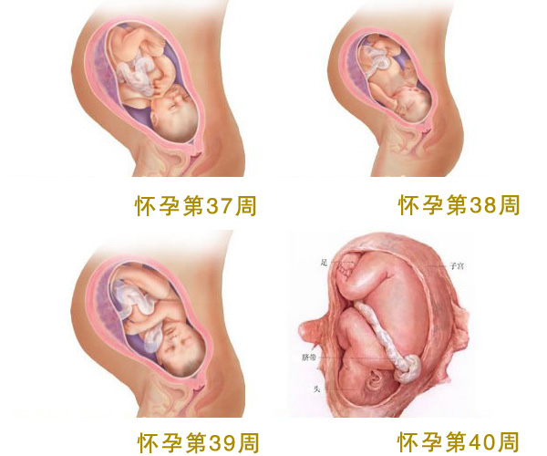 孕36周生了正常吗