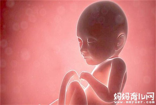 头围和双顶径的关系你造吗 哪个数据更重要？