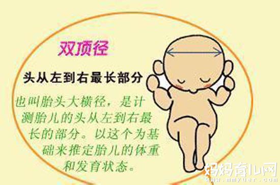 医生常常说的双顶径是什么意思 原来是胎儿的这个部位！