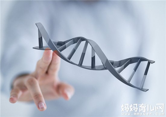 宝宝智商受谁的影响更大 家长谁对宝宝基因影响大