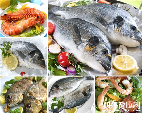 孕妈吃啥对胎而智力好 盘点对胎儿智力发育有利的食物
