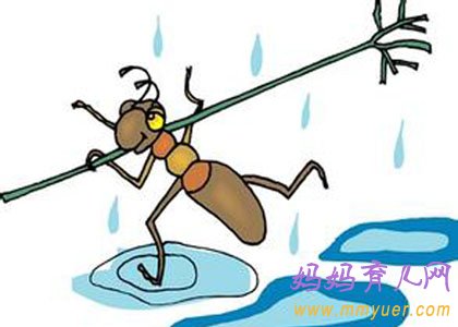 怀孕第7周 孕48天胎教故事《红蚂蚁的礼物》