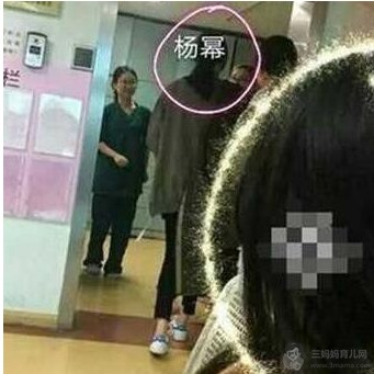 杨幂怀二胎九个月照片