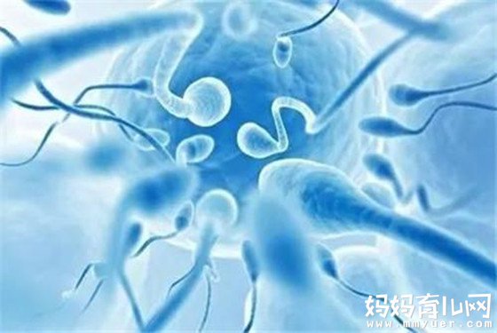 从精子活力低的六大原因 寻找精子活动率低怎么办的方法